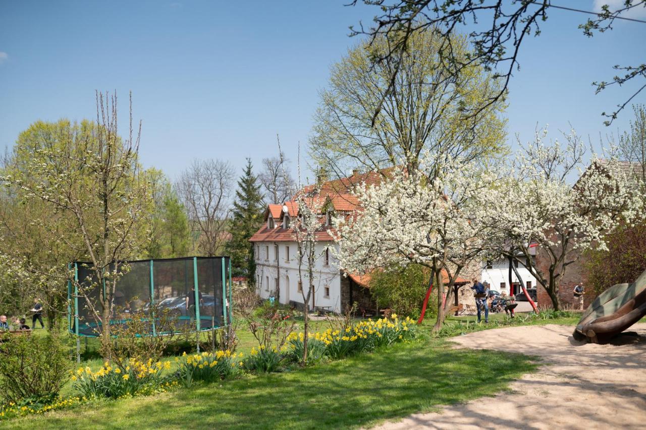 Villa Greta Świerzawa Esterno foto