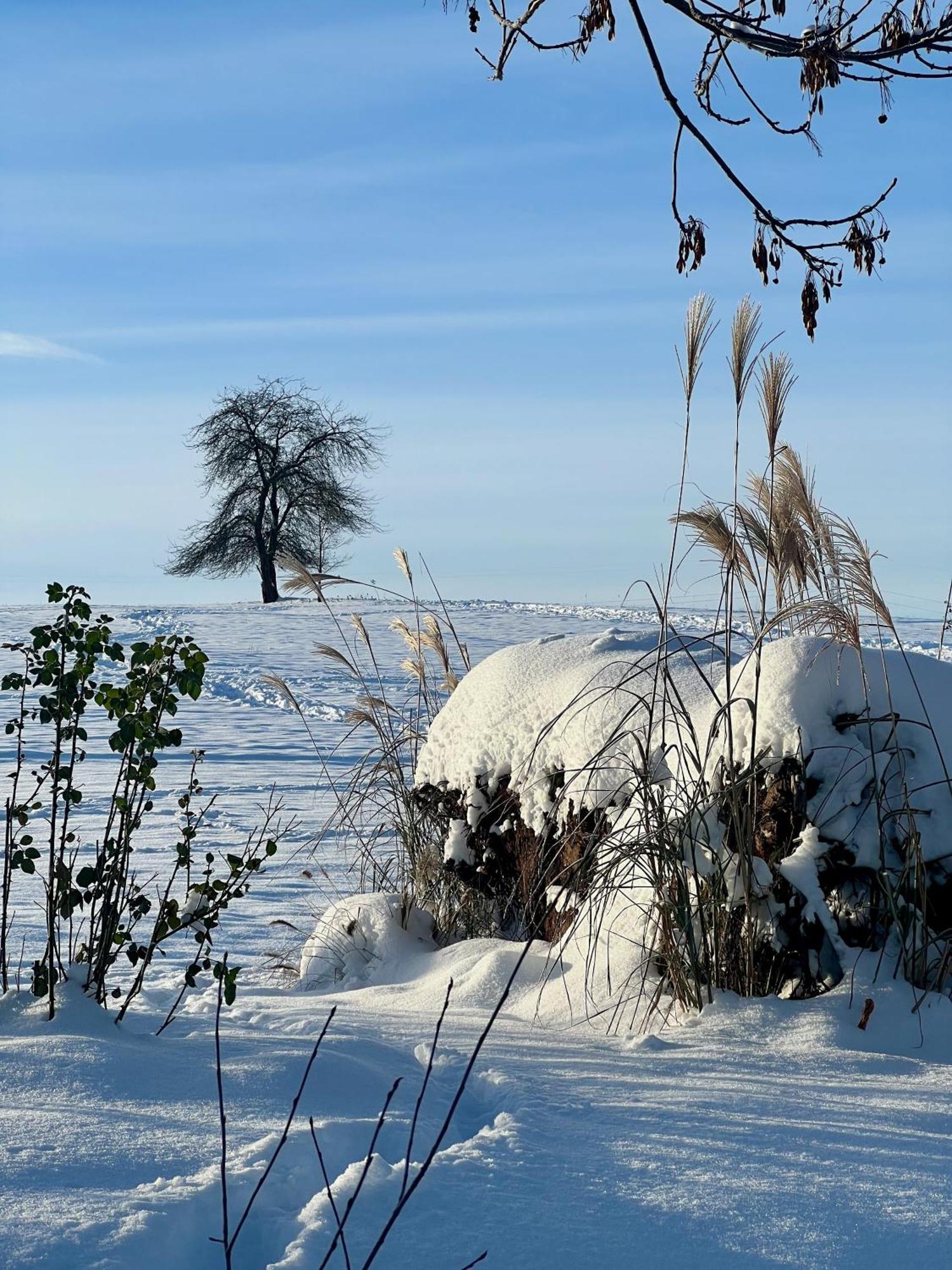 Villa Greta Świerzawa Esterno foto
